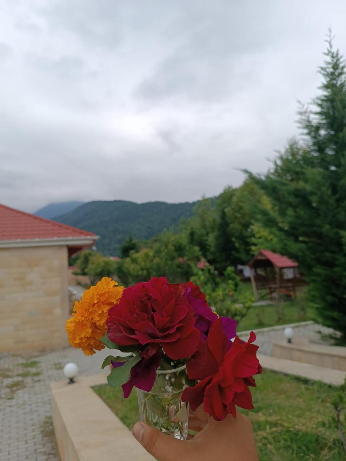 Gabala Bliss Inn Hotel And Restaurant 外观 照片