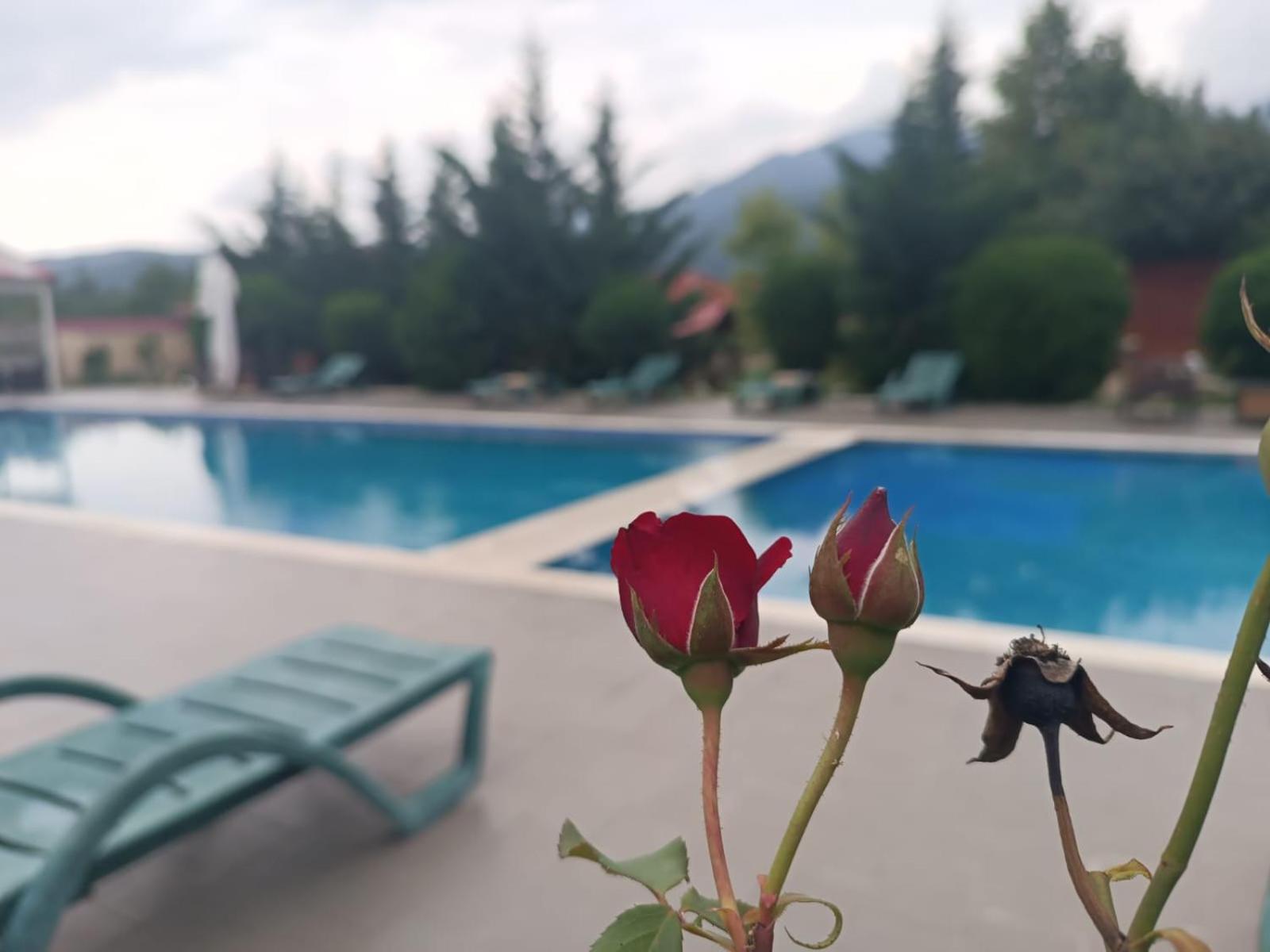 Gabala Bliss Inn Hotel And Restaurant 外观 照片