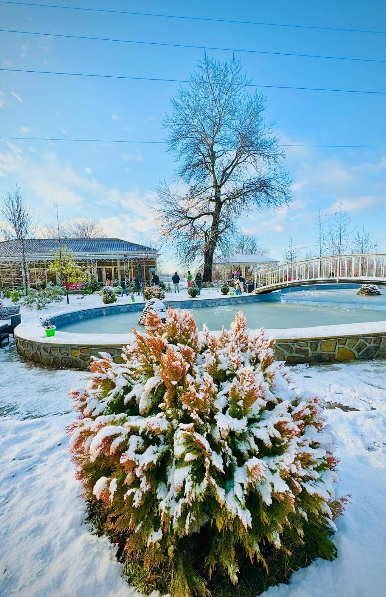 Gabala Bliss Inn Hotel And Restaurant 外观 照片