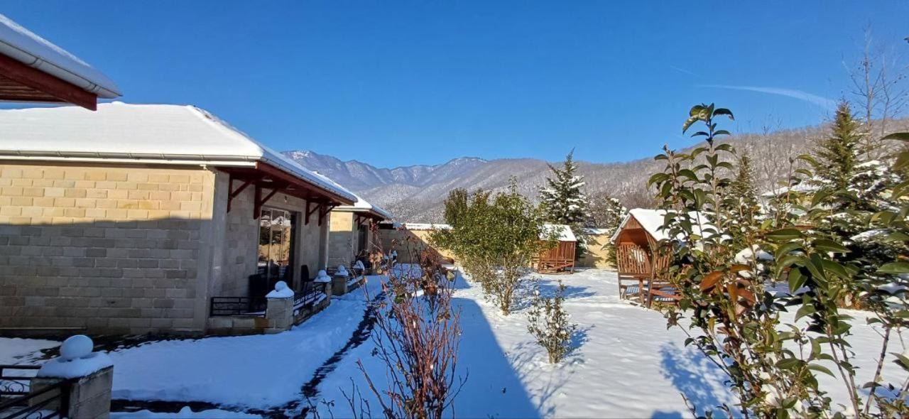 Gabala Bliss Inn Hotel And Restaurant 外观 照片