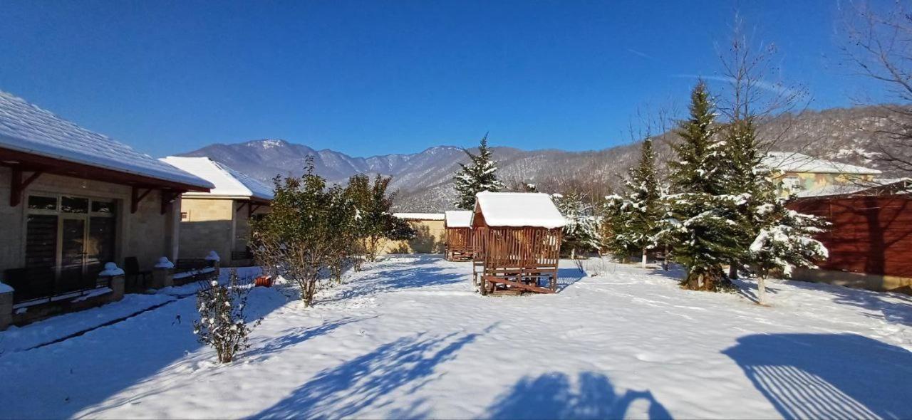 Gabala Bliss Inn Hotel And Restaurant 外观 照片
